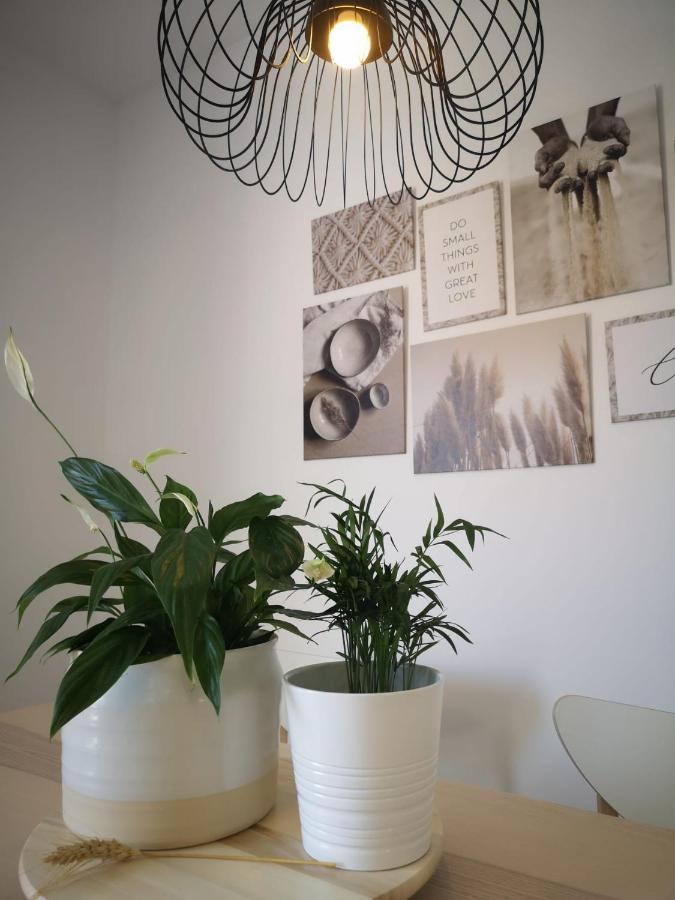 Apartamento Suite Arco De La Villa,Solo Familia Y Parejas,Parking Gratuito 科尼尔-德拉弗龙特拉 外观 照片